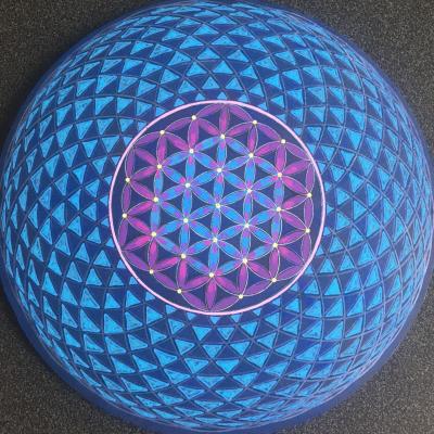 Torus 77